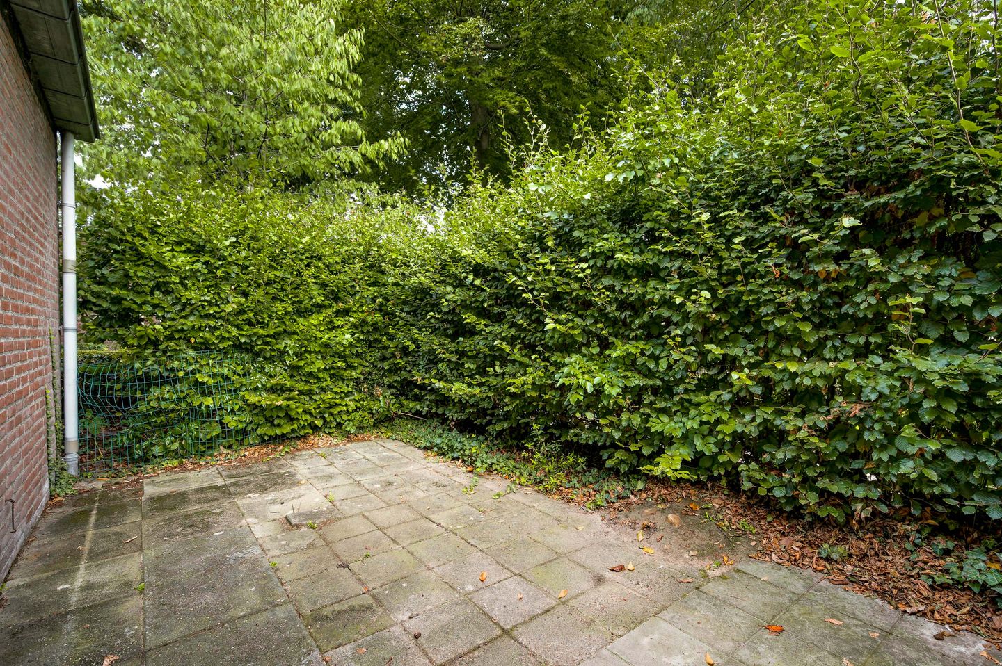 Photo 20 of Daniëlshof 1