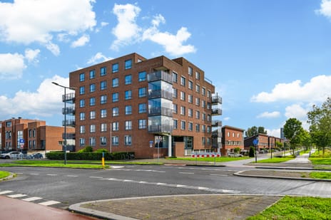 Brandingdijk thumbnail