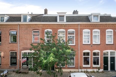Berckheydestraat thumbnail