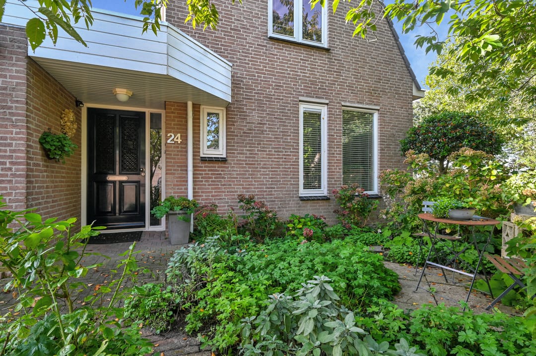 Photo 2 of Houtduif 24