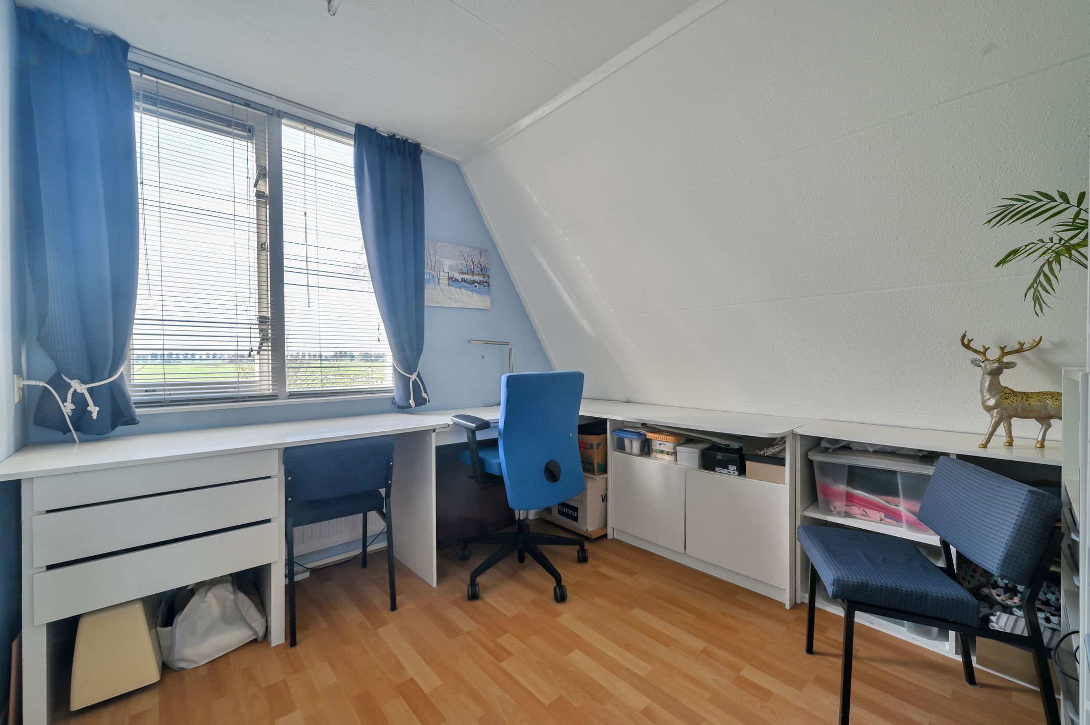 Photo 27 of Houtduif 24