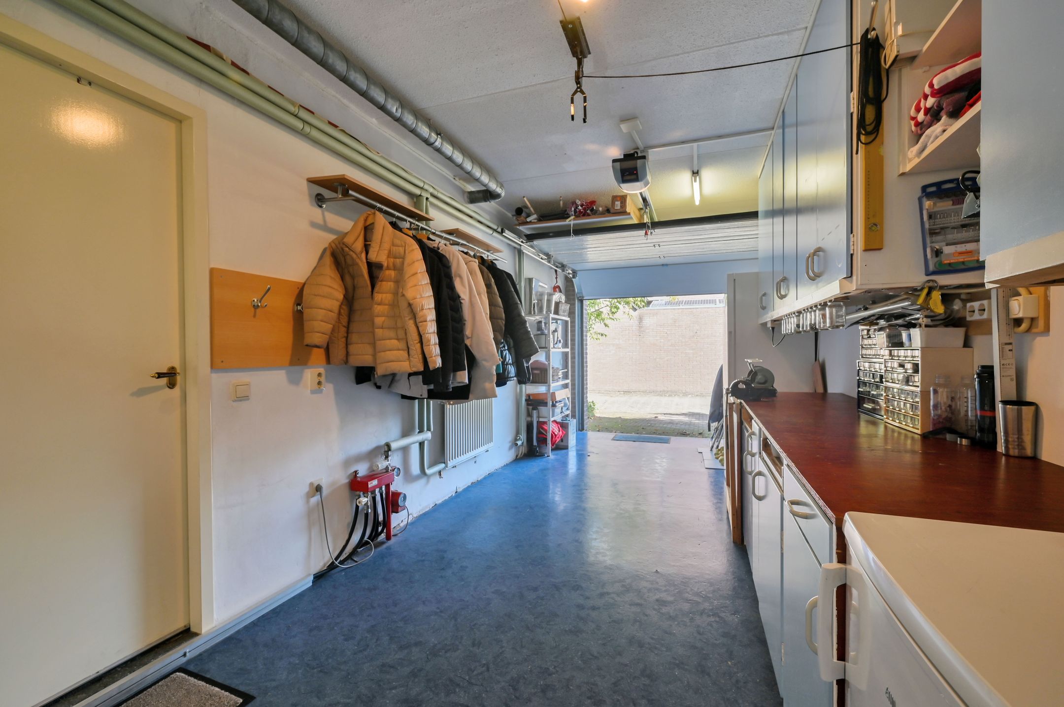 Photo 21 of Houtduif 24
