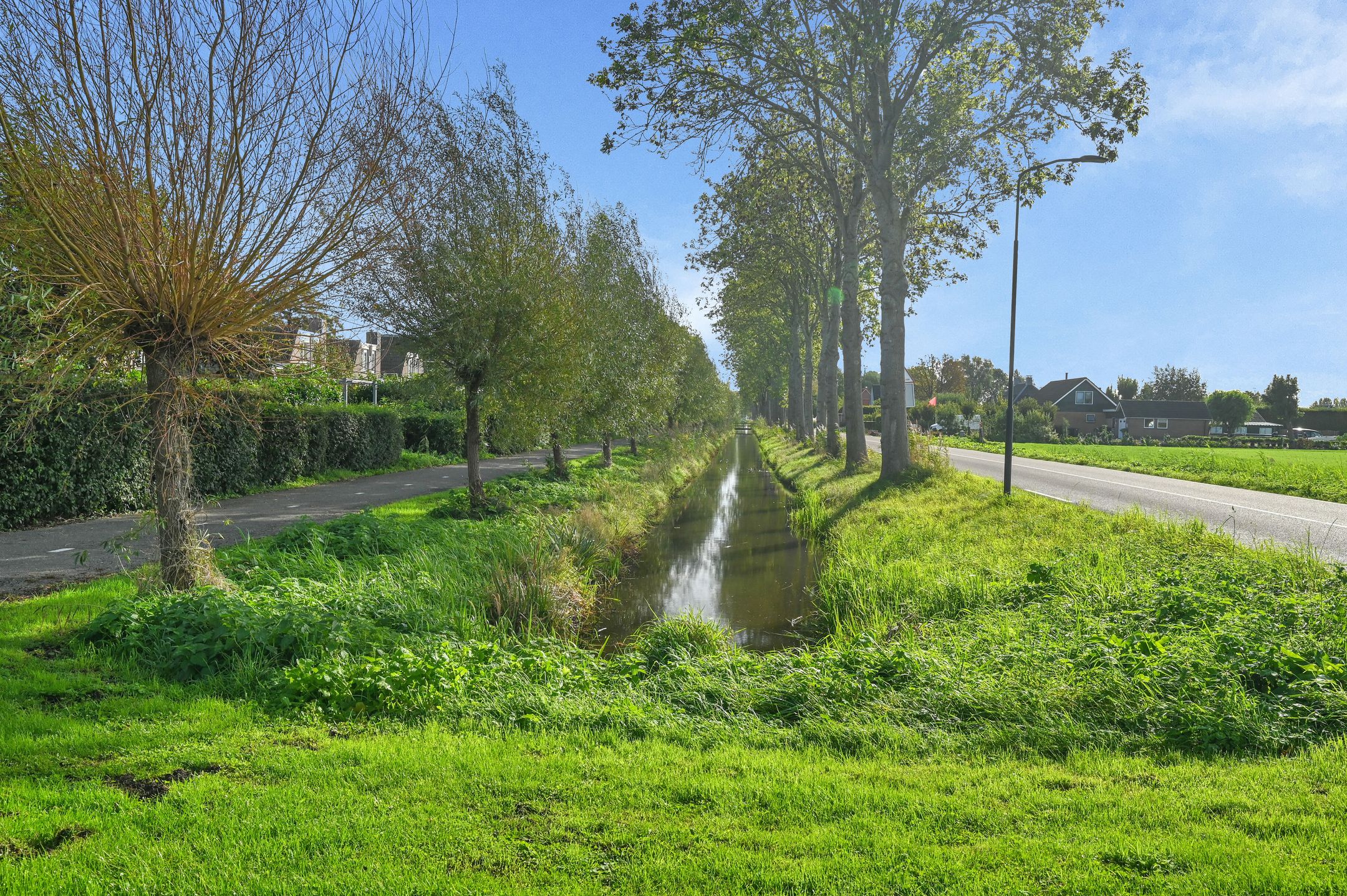 Photo 39 of Houtduif 24