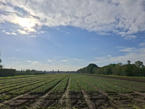 Bekijk foto's