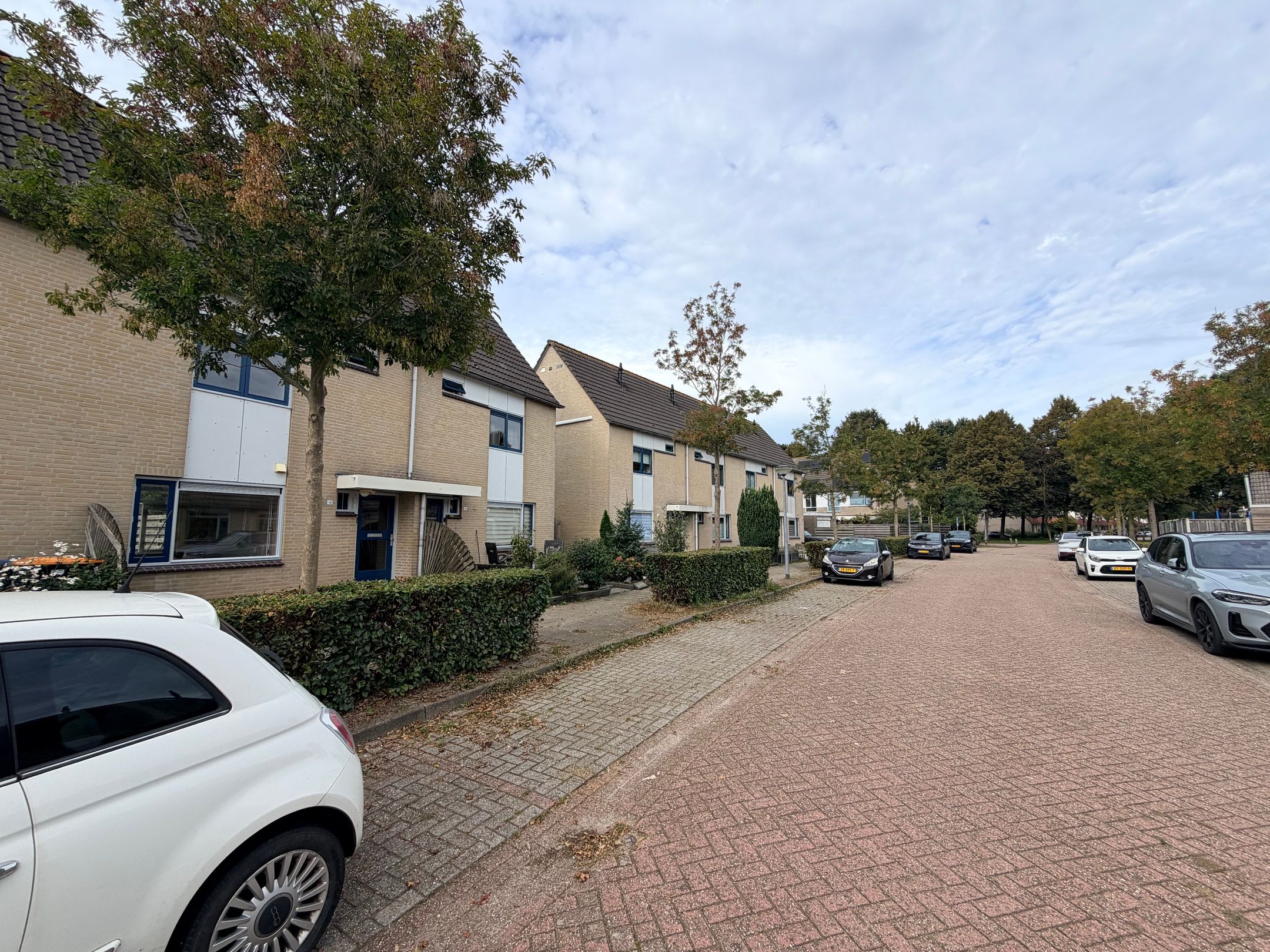 Photo 33 of Hermelijnhof 14