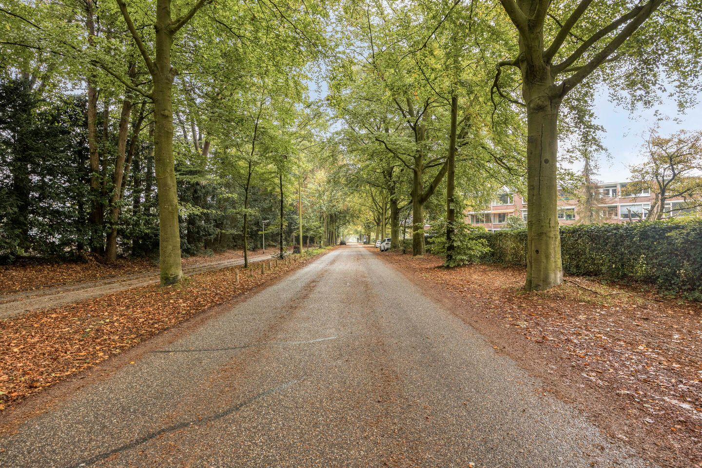 Photo 25 of Oude Molenweg 287