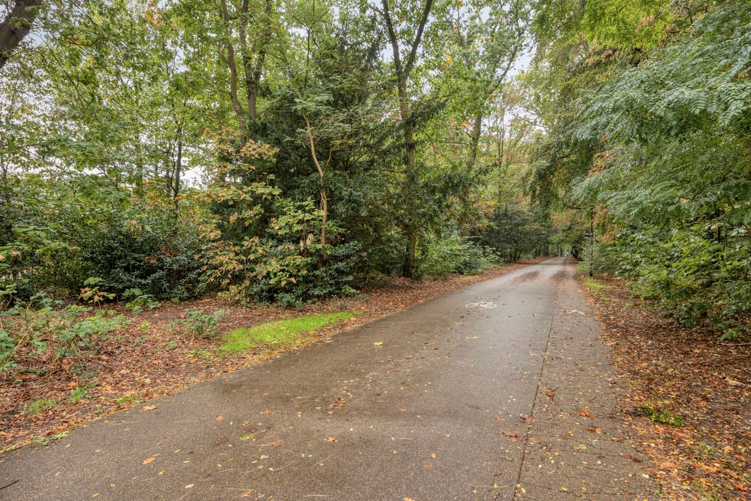 Photo 28 of Oude Molenweg 287