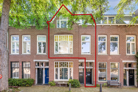 Steijnstraat thumbnail