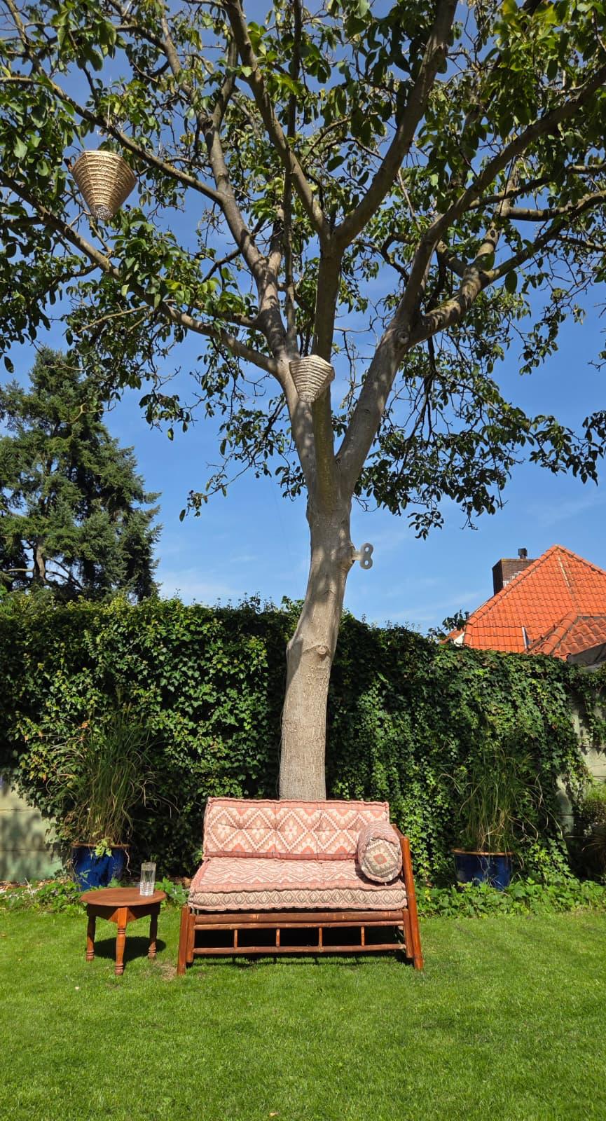 Foto 42 van Tesselschadelaan 3