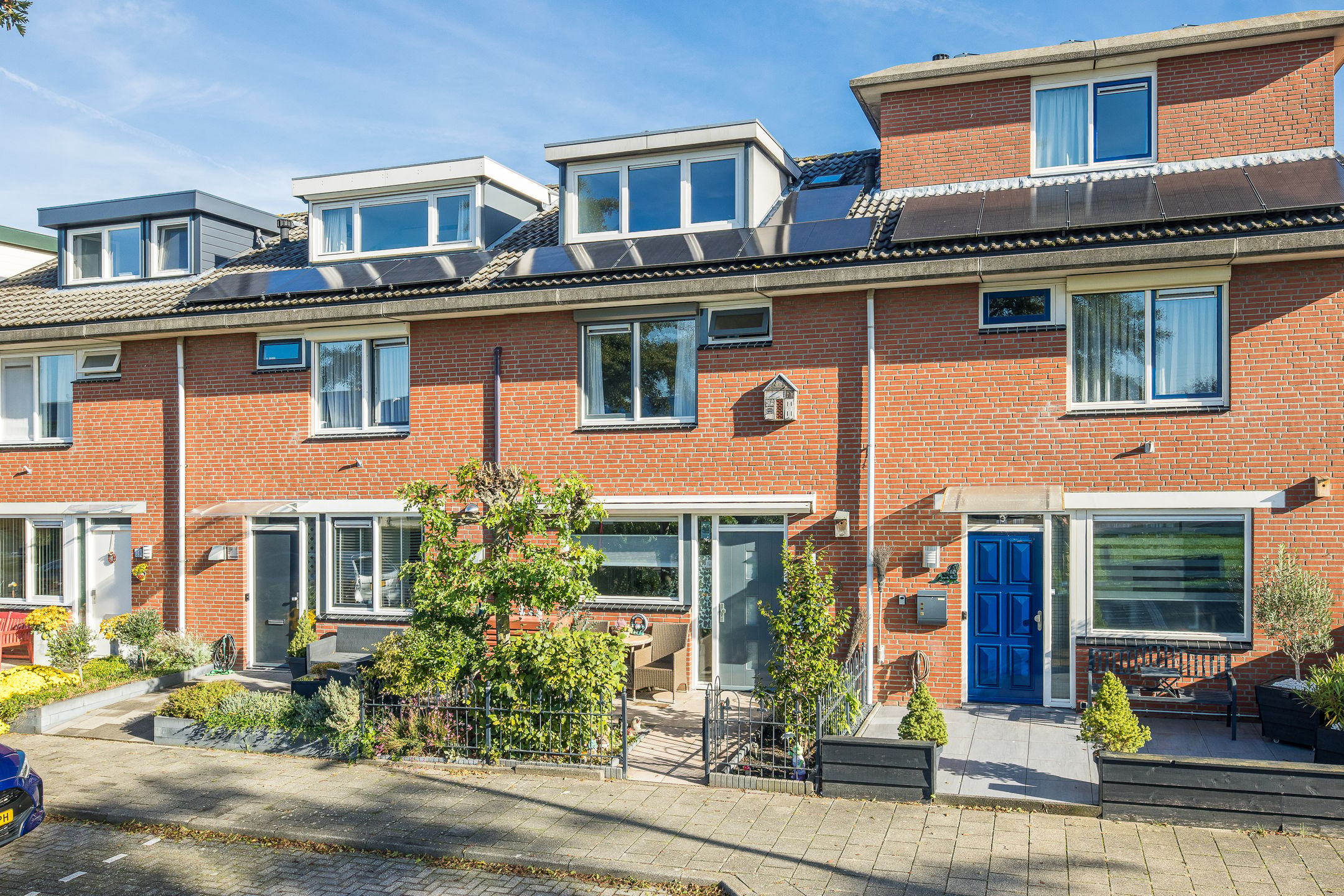 Foto 42 van Lodewijk van Deysselhove 12