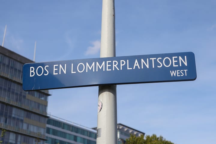 Foto 5 van Bos en Lommerplantsoen 109-K