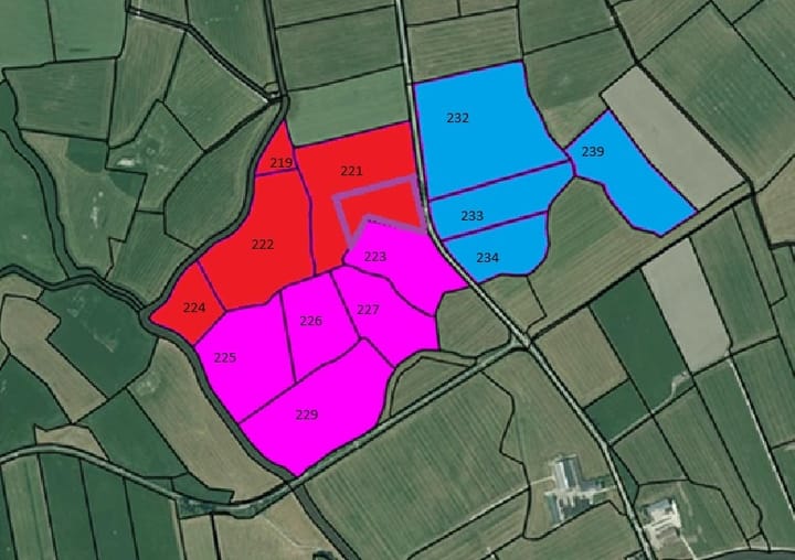 Zuiderlaan 20, Schraard