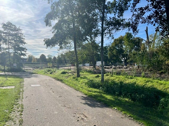 Foto 7 van Bijenveld 12