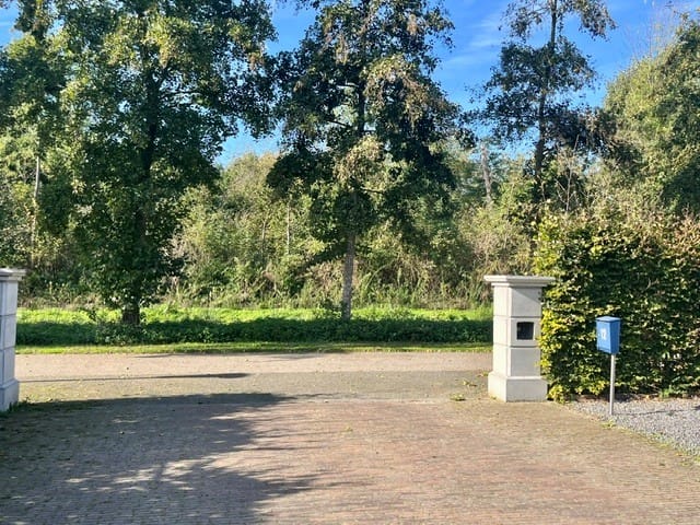 Foto 6 van Bijenveld 12