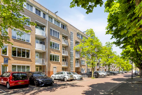 Boniplein thumbnail