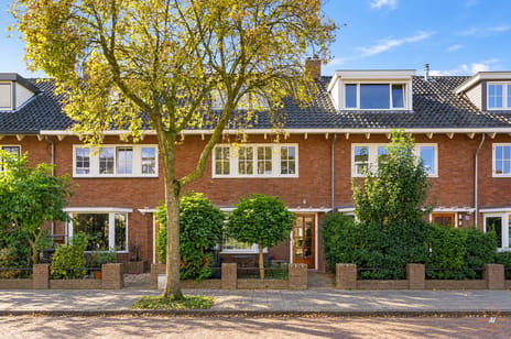 Caninefatenstraat thumbnail