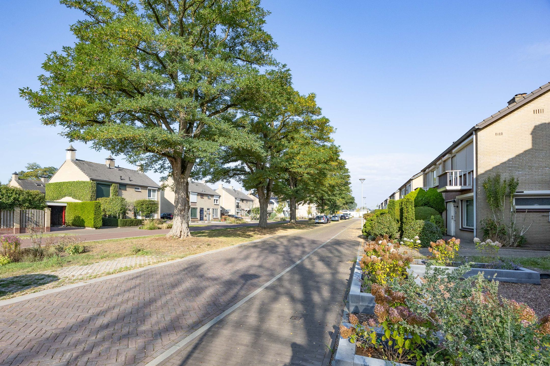 Photo 45 of Meindert Hobbemastraat 27