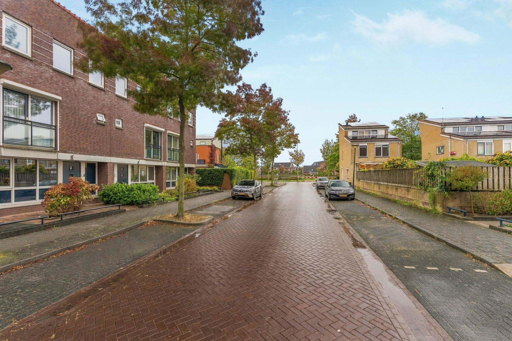Photo 42 of Ochtendnevel 63
