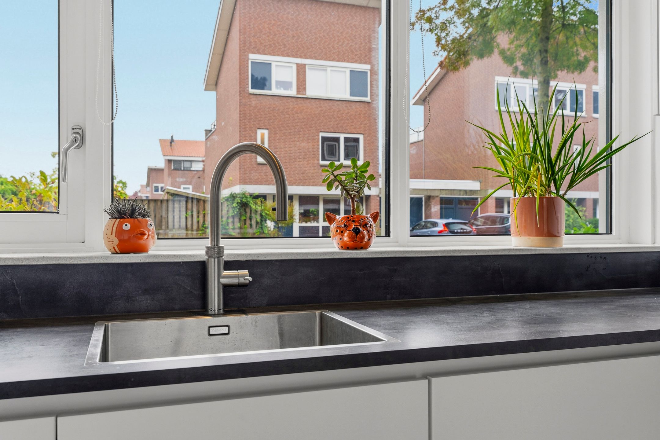 Photo 9 of Ochtendnevel 63