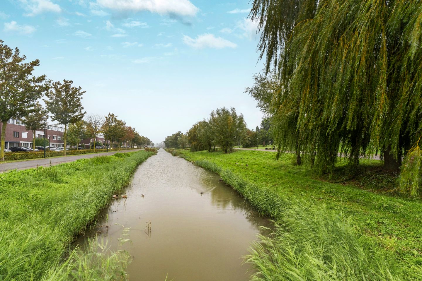 Photo 40 of Ochtendnevel 63
