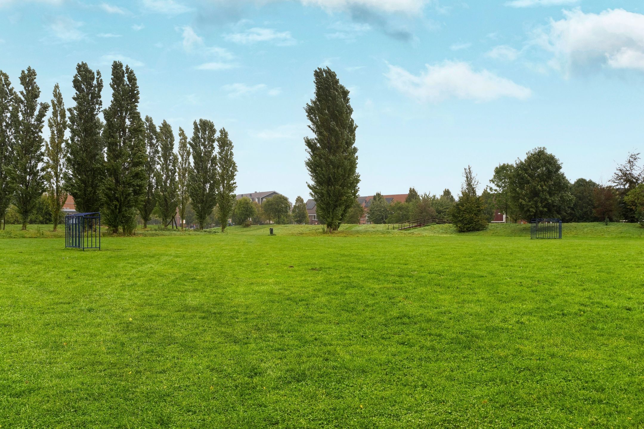 Photo 39 of Ochtendnevel 63