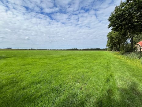 Bekijk foto's