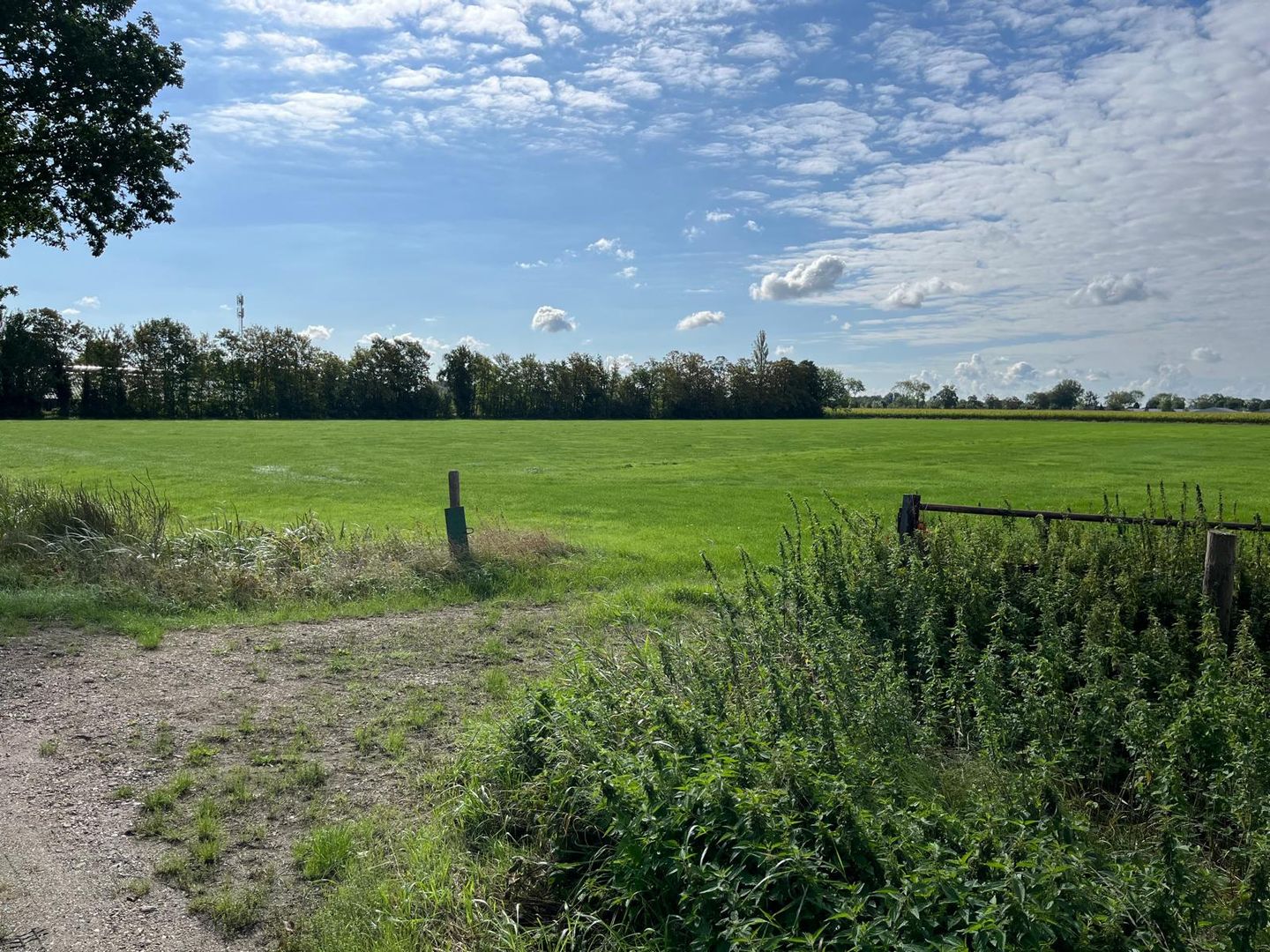 Bekijk foto 1 van Woerdsestraat