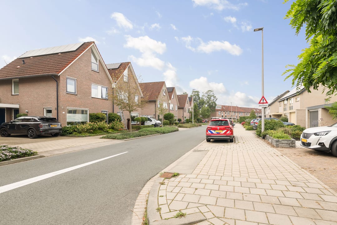 Foto 38 van Clematis 2