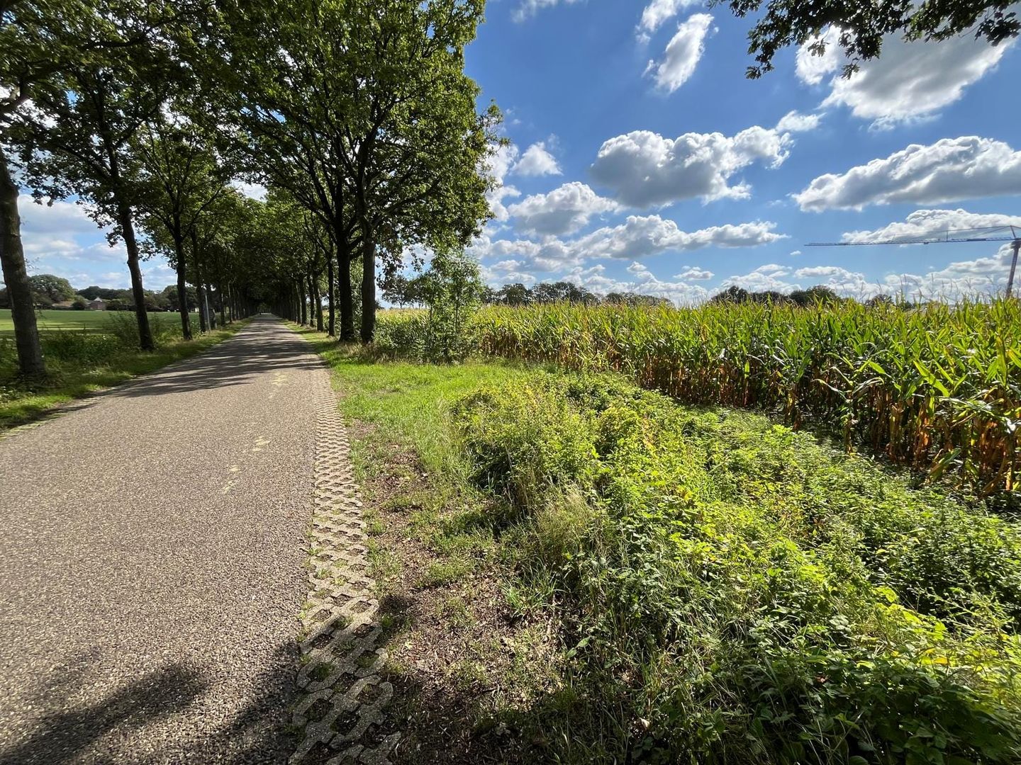 Vogelenzang - Erp - Afbeelding 1