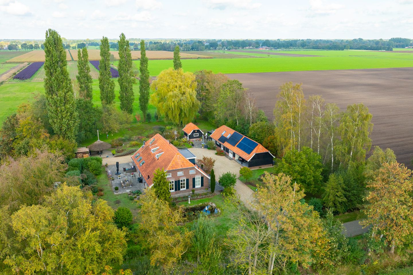 Photo 5 of Bielemansdijk 28