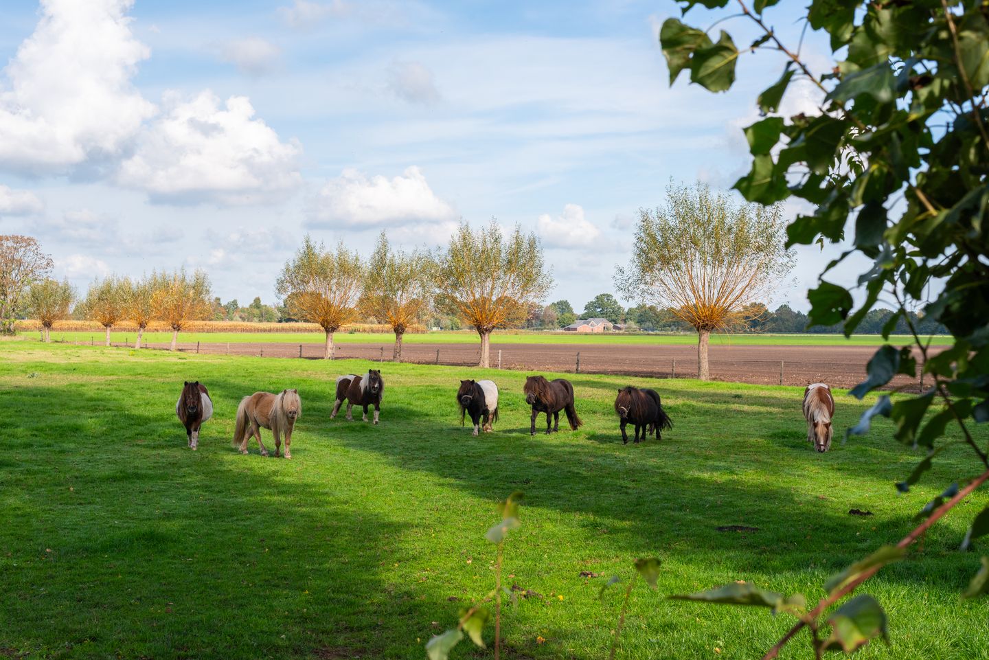 Photo 89 of Bielemansdijk 28