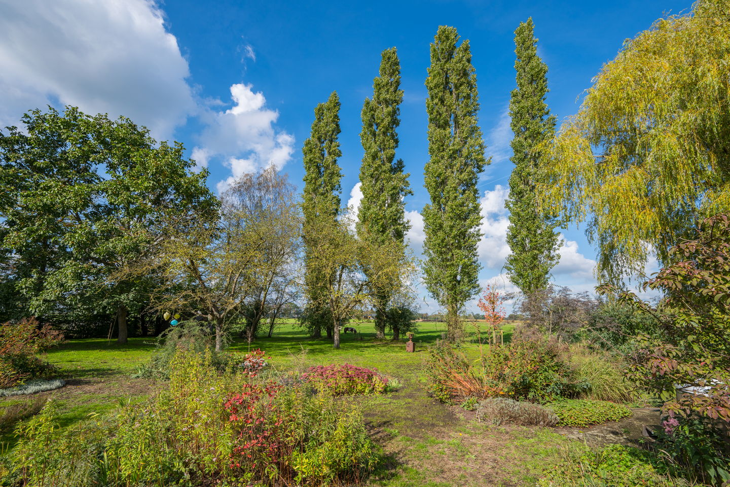 Photo 85 of Bielemansdijk 28