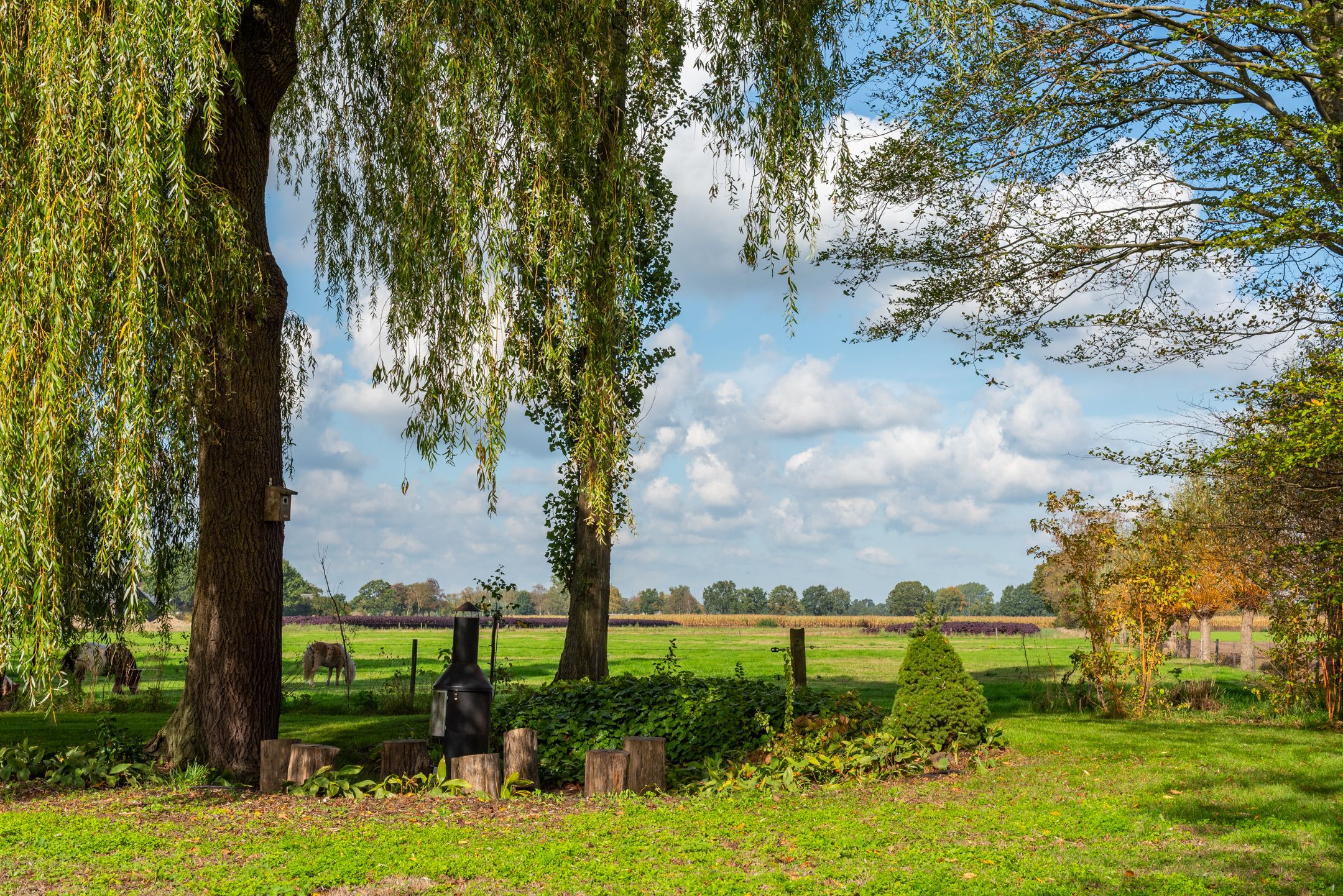 Photo 81 of Bielemansdijk 28