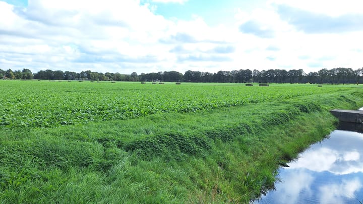 Woning te koop: Sluisstraat, Musselkanaal