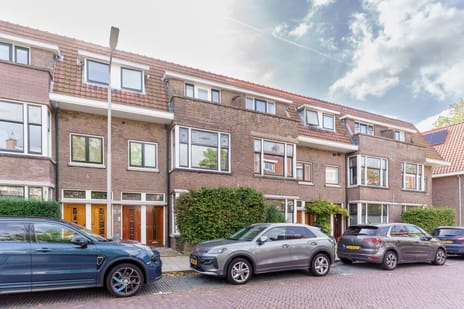 Botaniestraat thumbnail