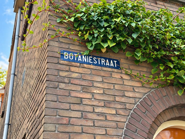 Foto 2 van Botaniestraat 20