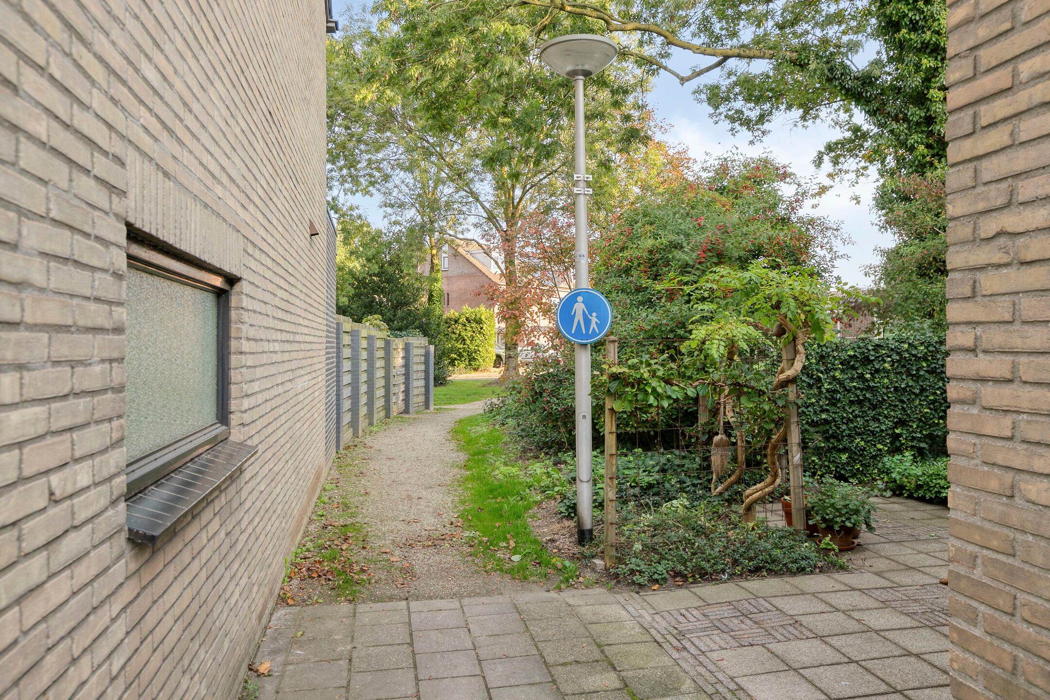 Foto 33 van Hondsdraf 36