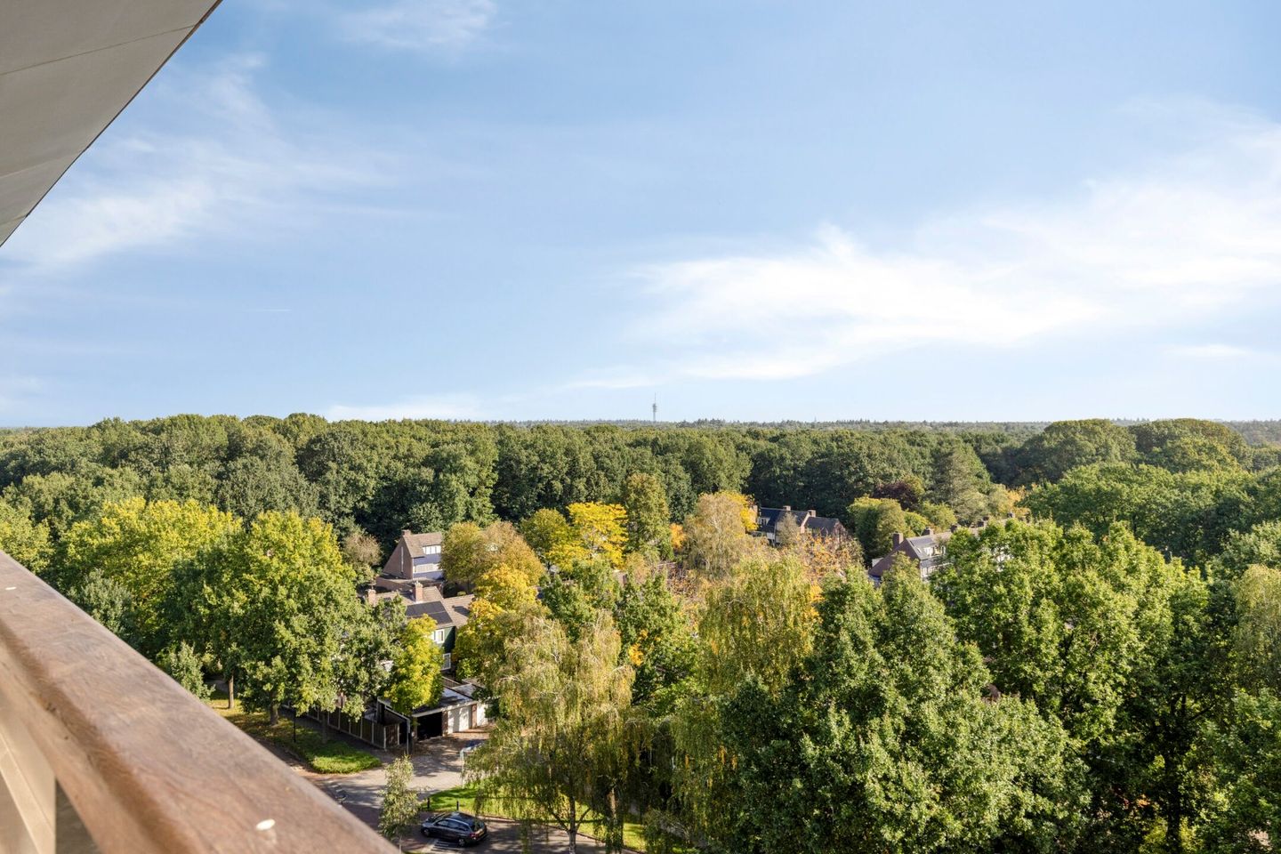 Foto 40 van Raamveld 171