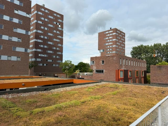 Foto 14 van Zonnebaarsstraat 16