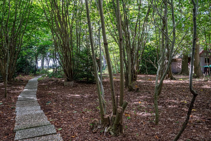Vrijstaande woning te koop: Hoornsedijk 17A2, Haren (Gr)