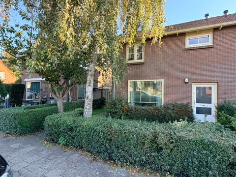 van Velzenstraat thumbnail