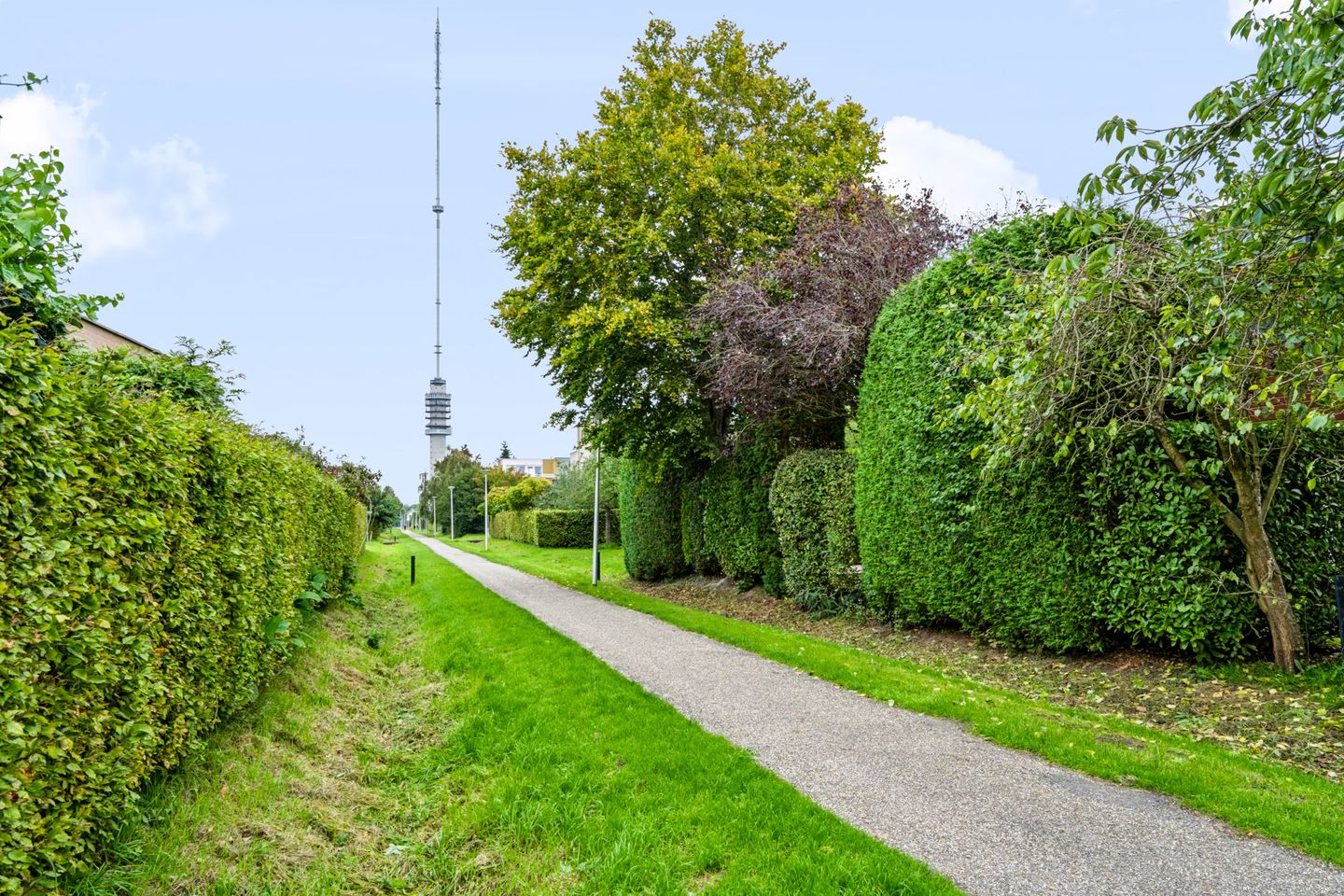 Photo 65 of Boomgaard 51
