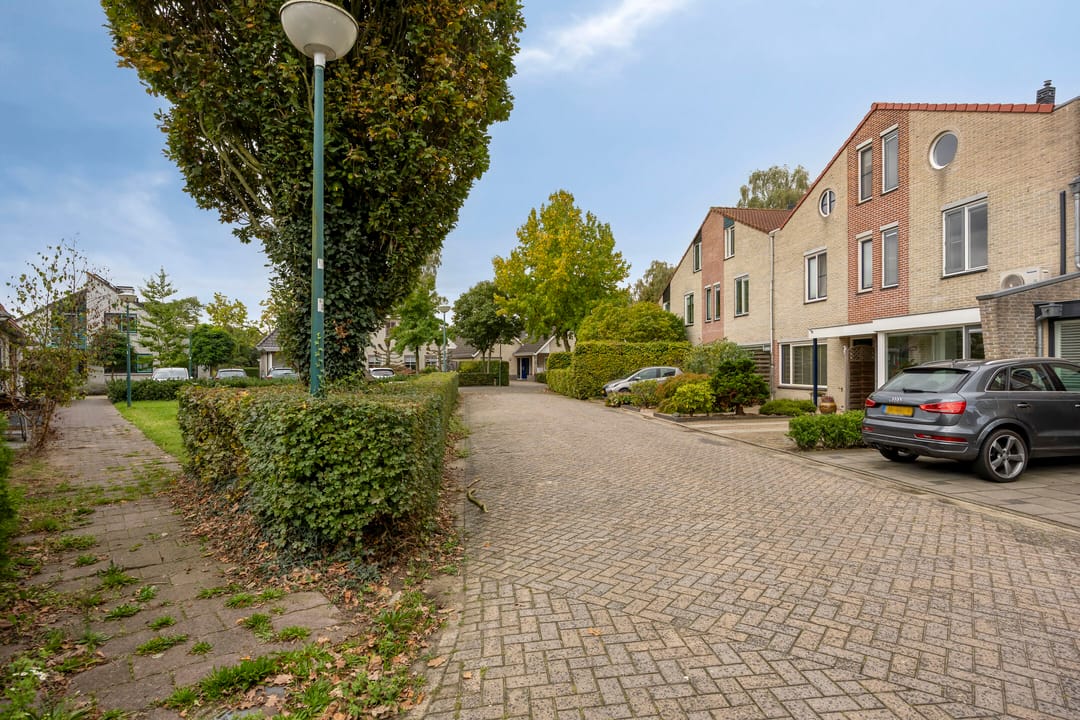 Foto 41 van Dokter Braunstraat 14