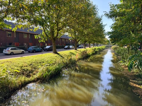 Zomerdijkstraat thumbnail