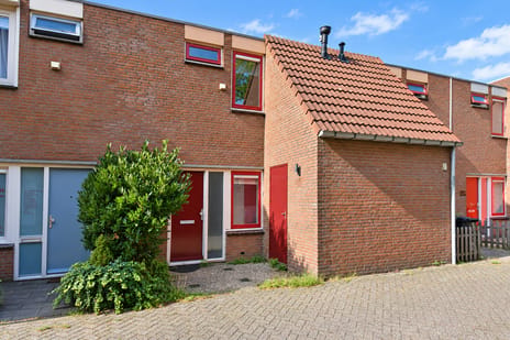 Boekweitakker thumbnail