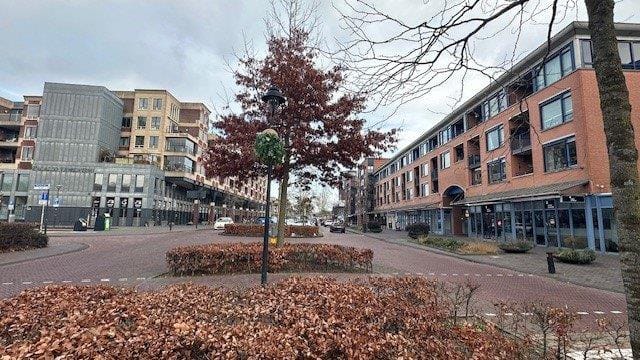 View photo 3 of Pastoor Spieringsstraat 219