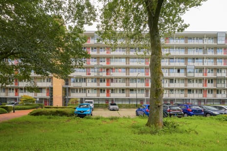 Gravin Juliana van Stolberglaan thumbnail