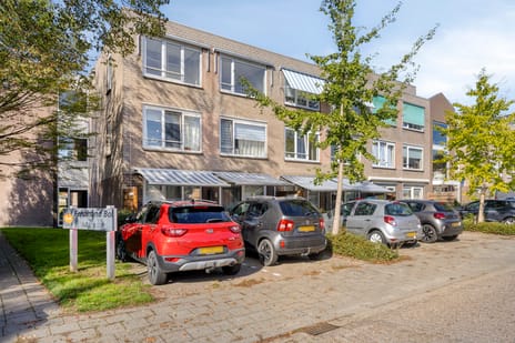 Ferdinand Bolstraat thumbnail