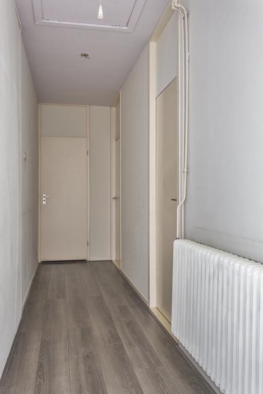 Appartement te huur: Frambozestraat 21, Goes