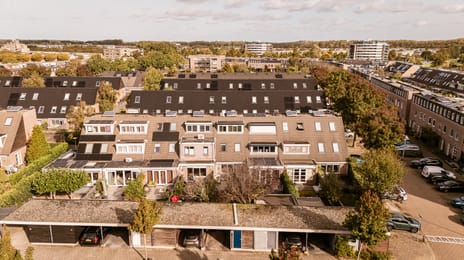 Hollandse Aak thumbnail